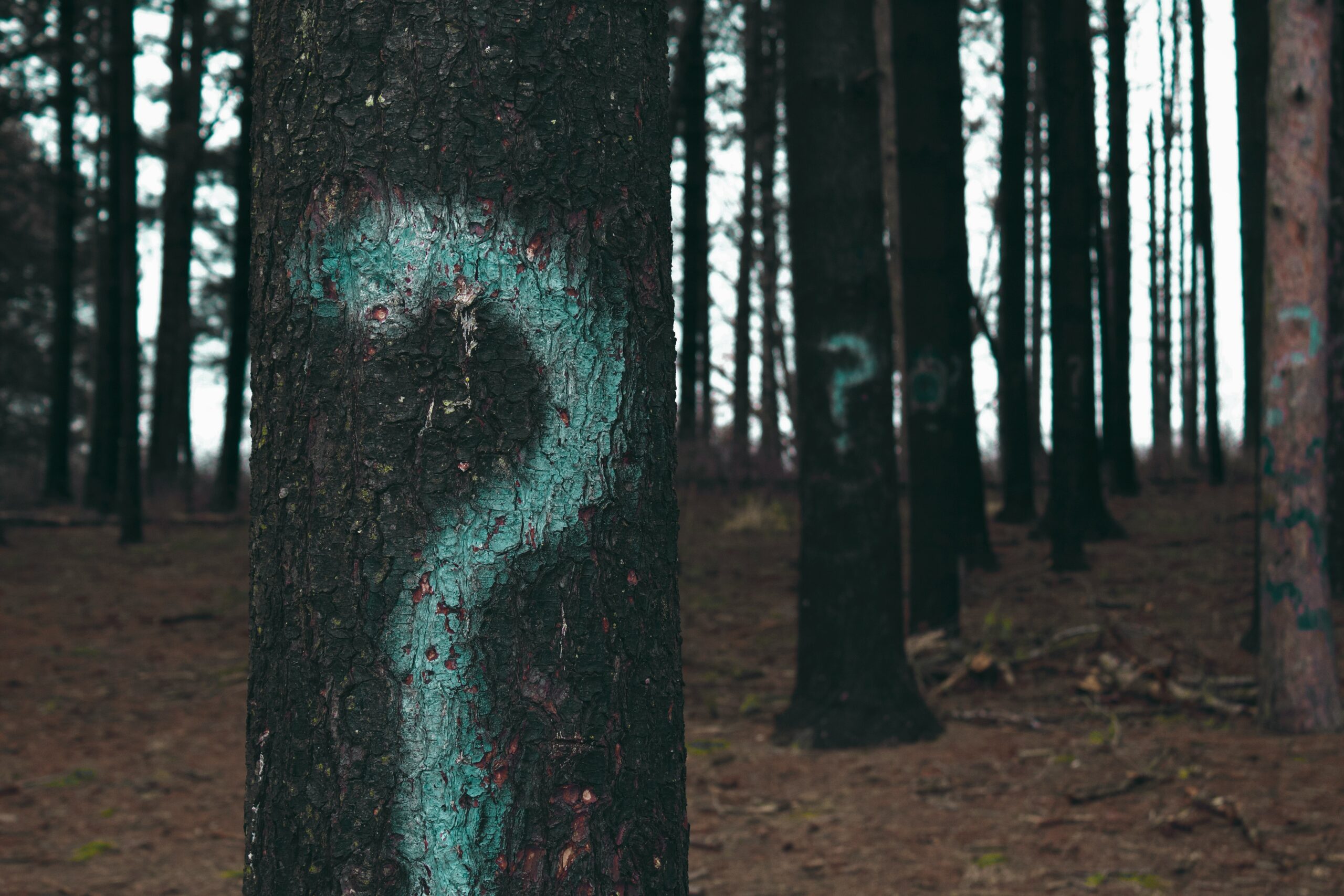 The Power of Questions
