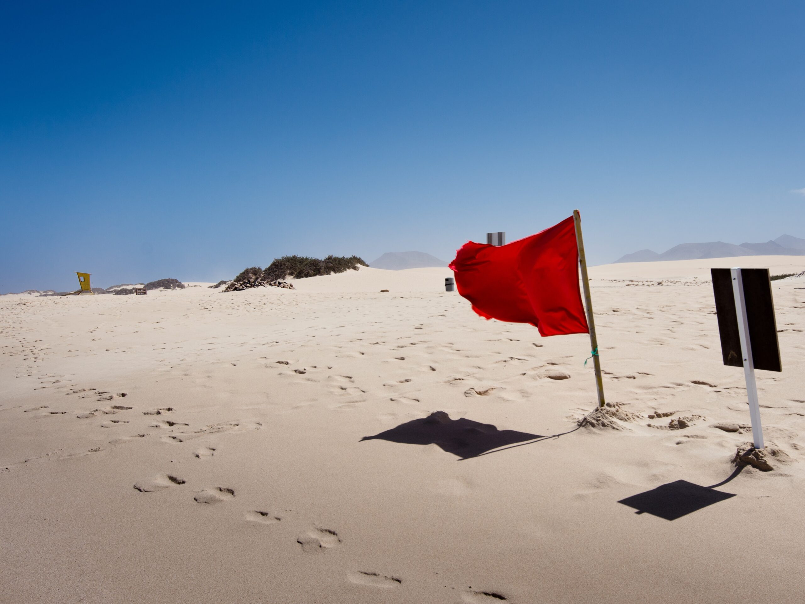 The Red Flags to Pay Attention to in Your Cybersecurity Staff and How to Handle Them
